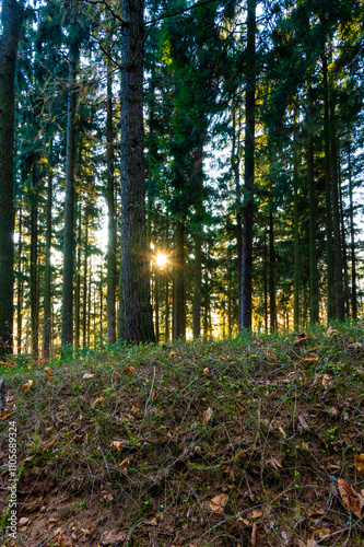 Obraz na płótnie A captivating autumn forest scene with trees showcasing vibrant fall colors, and sunlight streaming through the branches, creating a magical, serene atmosphere w salonie