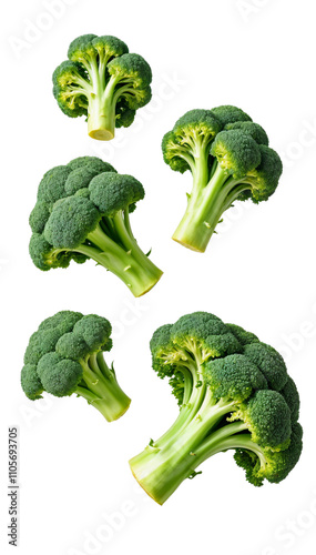 Fresh Broccoli Florets on transparent Background for Healthy Eating