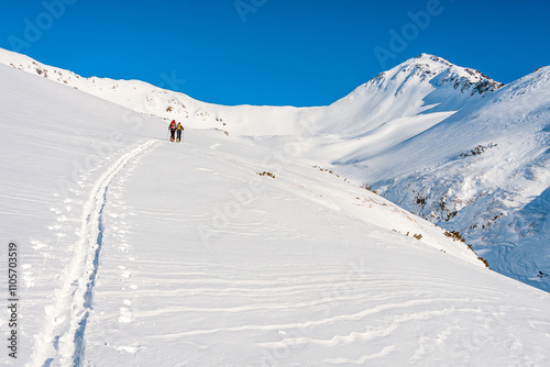 Fototapeta Ski mountaineering