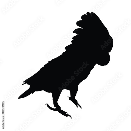 Cockatoo / parrot silhouettes. Vector illustration isolated on white