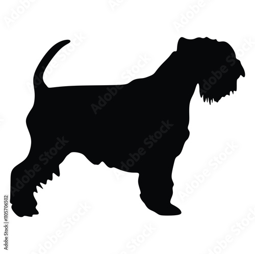 Miniature schnauzer dogs. Vector Illustration