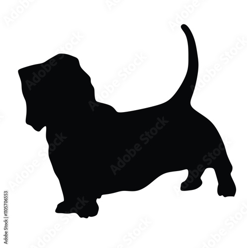 Black silhouette of the Basset Hound dog on white background.  photo