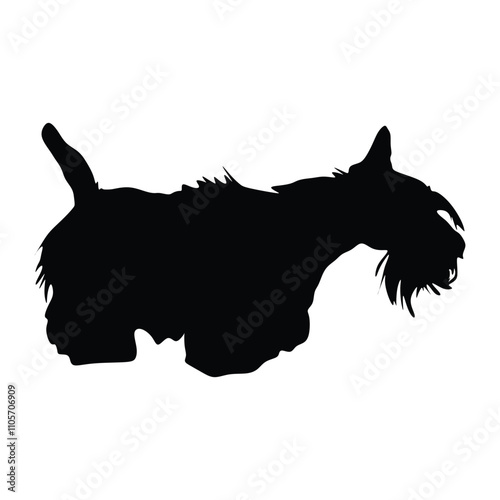 Miniature schnauzer dogs. Vector Illustration