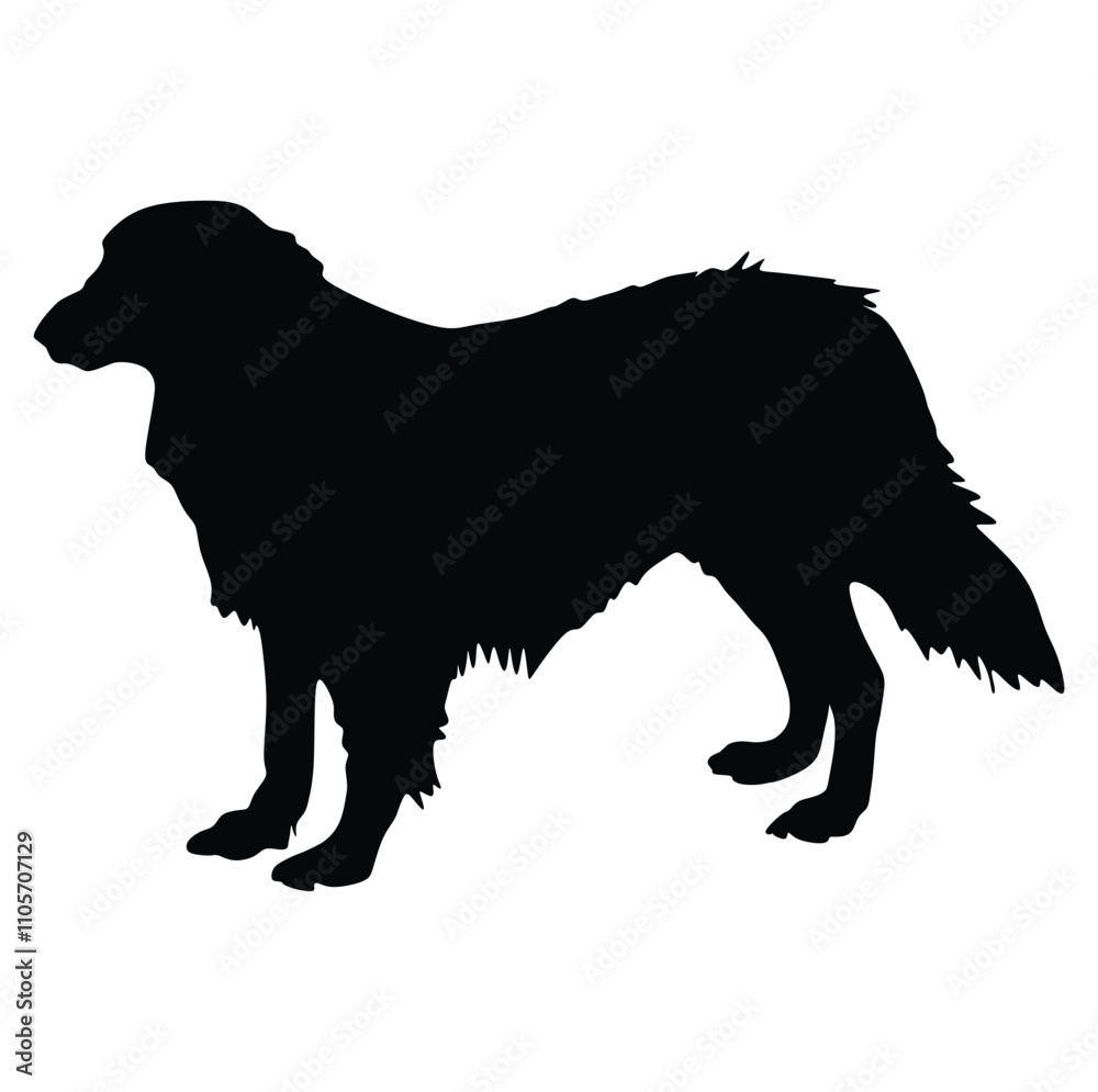 Obraz premium silhouette dog