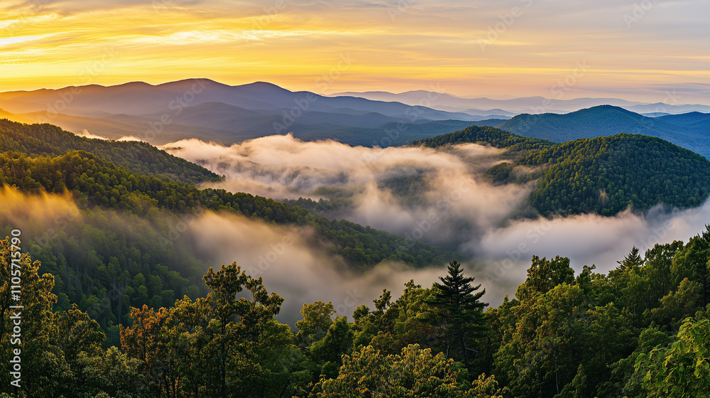 Misty Mountain Sunrise: Ethereal Fog Blankets Lush Forest Valleys at Dawn Misty Mountain Sunrise: Ethereal Fog Blankets Lush Forest Valleys at Dawn
