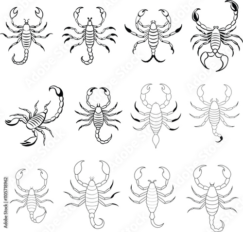 Set of Scorpion Vector Illustrations in Detailed and Modern Design