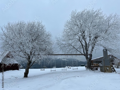 snow covered trees, winter wonderland in Slovakia - Oravská lesná, winter country with swings between cottages