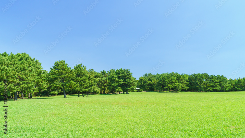 Obraz premium 日本の公園の風景｜(東京都江戸川区)葛西臨海公園・汐風の広場