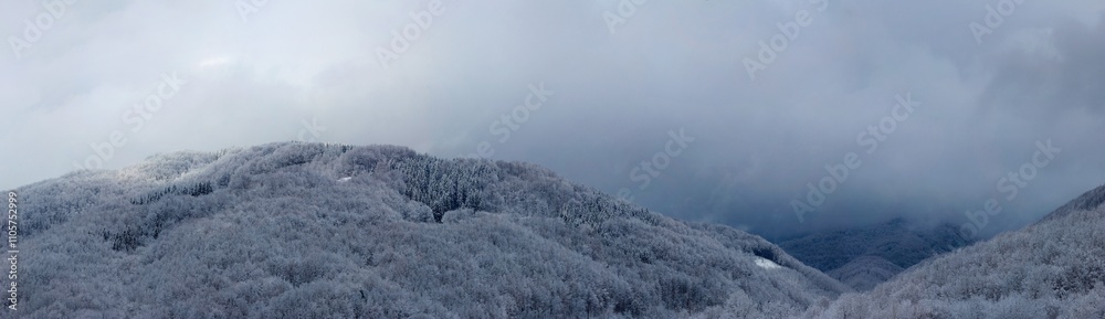 the winter forest is shrouded in fog, if you enlarge the photo, you can see most of the details, even a small house in the far right corner