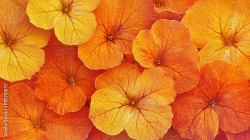 Lantana: Closeup Detail of Vibrant Flora in Nature - Lush Petals and Leaves