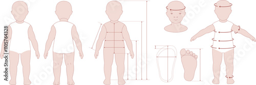 Child body measurement chart. Measurements of baby body for sewing clothes, health supervision. Vector infographics