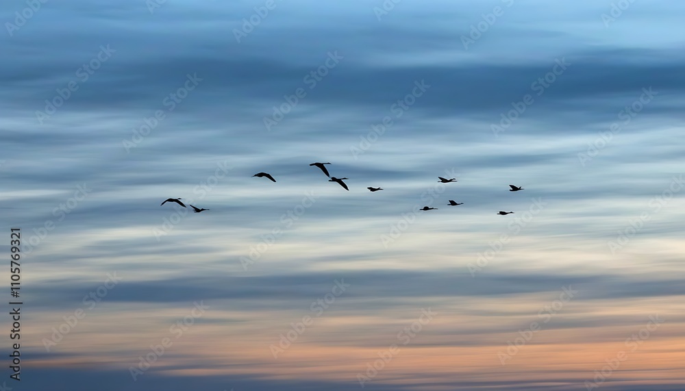 Serene natural beauty at dusk, a magnificent sight of bird migration. Serene natural beauty at dusk, a magnificent sight of bird migration.