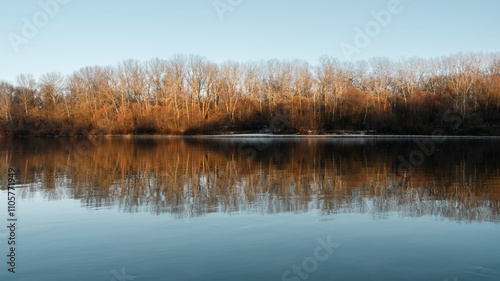 Golden light illuminates a forest of bare trees by the river during a peaceful winter evening.