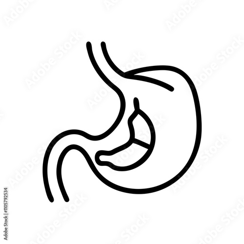 Human stomach line icon vector 