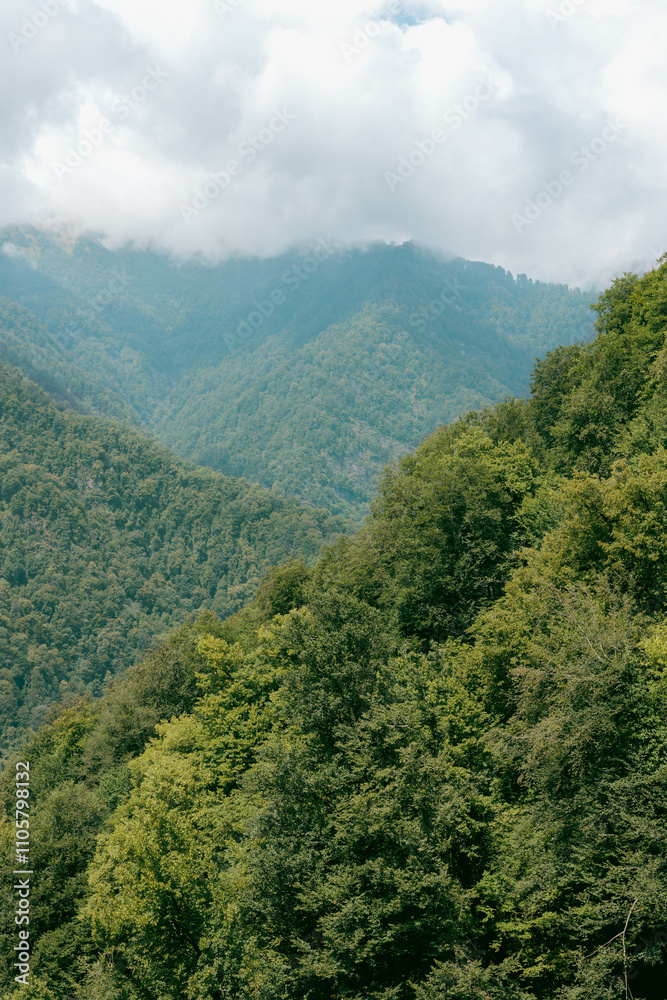 Fototapeta premium Majestic summer landscape of lush green mountains and dense forests in Lagodekhi, Georgia, under a dramatic cloudy sky. Perfect for travel, adventure, and nature-themed projects