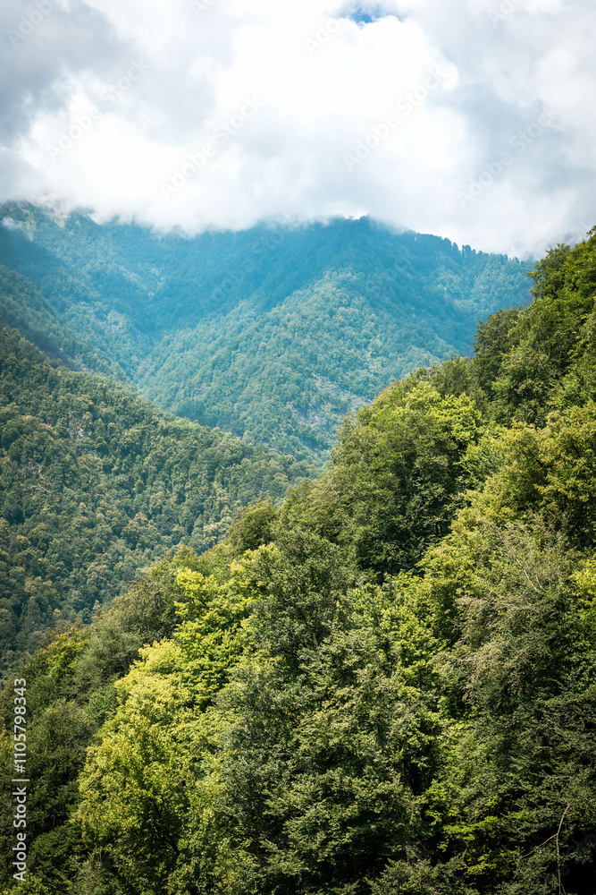 Majestic summer landscape of lush green mountains and dense forests in Lagodekhi, Georgia, under a dramatic cloudy sky. Perfect for travel, adventure, and nature-themed projects Majestic summer landscape of lush green mountains and dense forests in Lagodekhi, Georgia, under a dramatic cloudy sky. Perfect for travel, adventure, and nature-themed projects