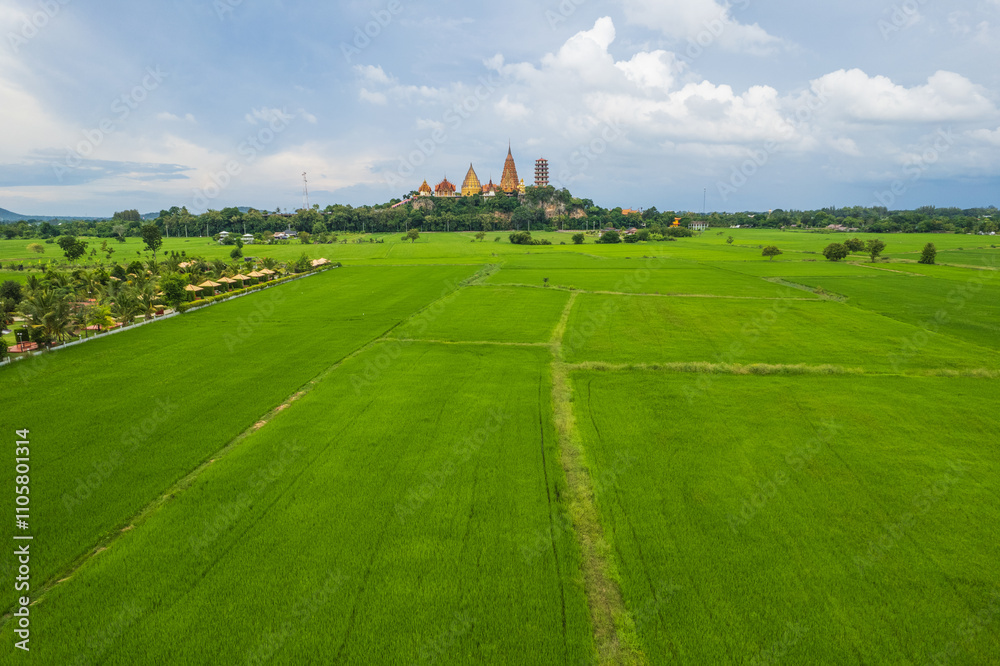 Beautiful Buddhist temple and rice field in Kanchanaburi province, Thailand. Beautiful Buddhist temple and rice field in Kanchanaburi province, Thailand.