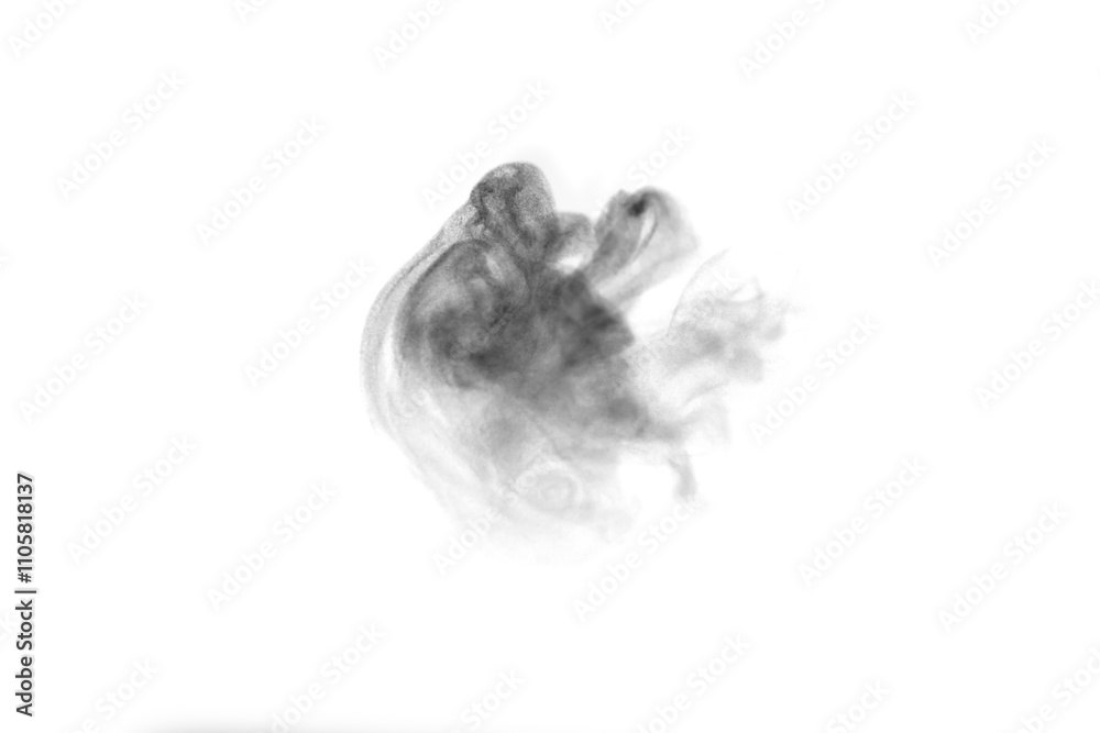 Fototapeta premium Black and white smoke isolated on white background. 
