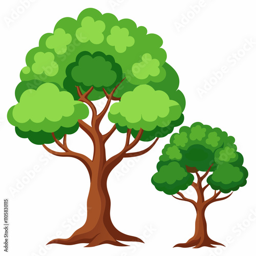 Two Jiya Trees - Vector Illustration on White Background