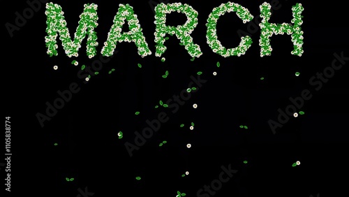 Beautiful illustration of March text with green leaves and white daisy flowers on plain black background