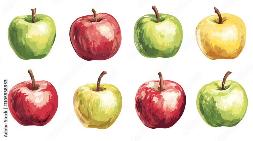 Apple watercolor clipart isolated on white background. Set of healthy fruit apples vector painting style illustration Apple watercolor clipart isolated on white background. Set of healthy fruit apples vector painting style illustration