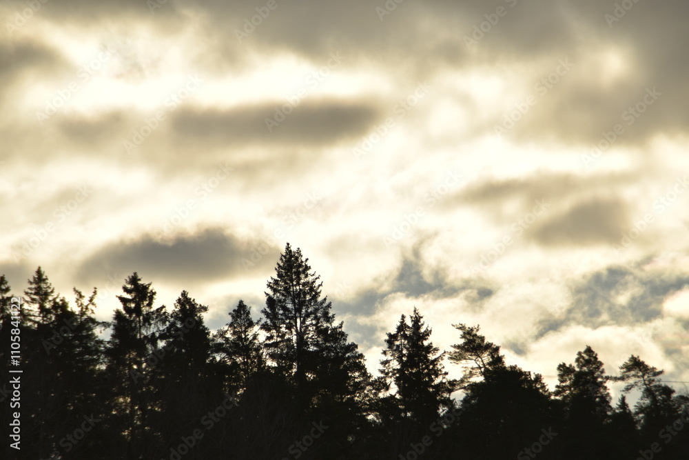 Fototapeta premium This is a landscape in cloudy autumn day.