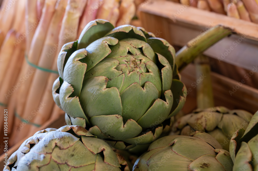 Fototapeta premium Fresh ripe green organic artichokes heads on local farmers market in Dordogne, France