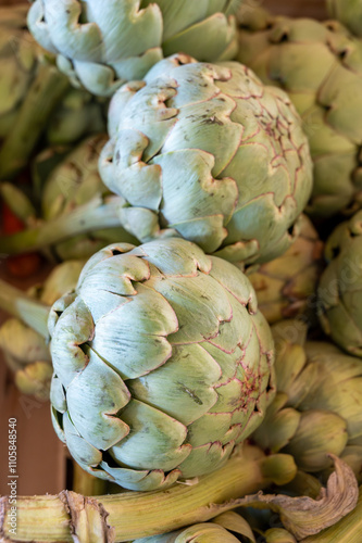 Fresh ripe green organic artichokes heads on local farmers market in Dordogne, France photo