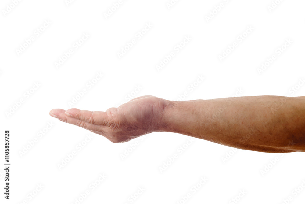 Adult male hand showing gesture of holding something isolated on white
