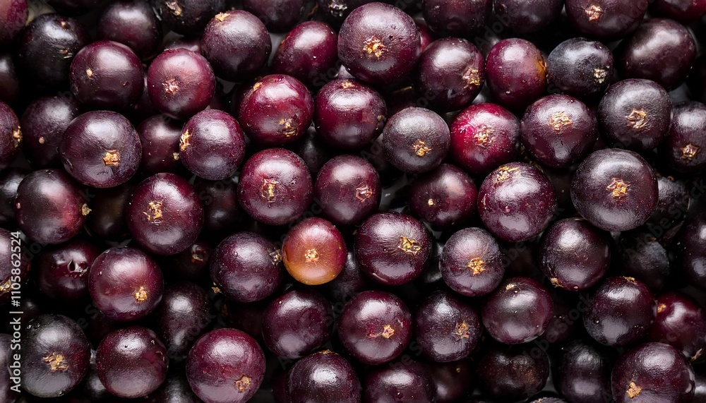 Flat Lay Top View of Bright Ripe Fragrant Purple Jabuticaba Fruit as Background Flat Lay Top View of Bright Ripe Fragrant Purple Jabuticaba Fruit as Background