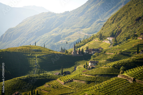 Cuadro en lienzo Vineyards view in Santa Maddalena, Bolzano