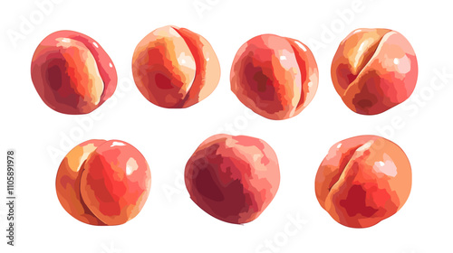 Vector watercolor style peach apricot Illustration clipart peaches apricots isolated on a white background