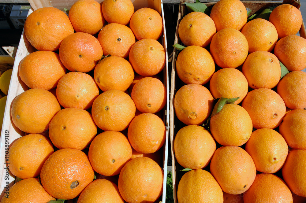 Arance di Ribera is a typical orange produced in Sicily near Agrigento Arance di Ribera is a typical orange produced in Sicily near Agrigento