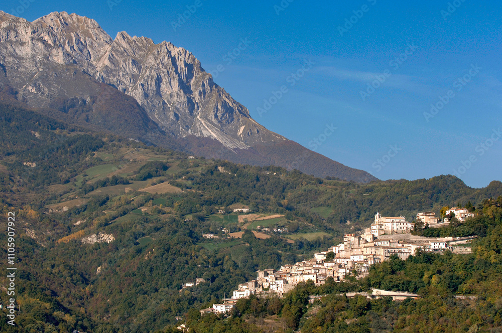 Fototapeta premium Pecorino di Farindola typical sheep cheese produced in Abruzzo by the women of Farindola inside the Gran Sasso National Park