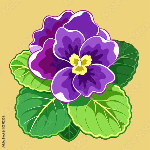 African Violet Cartoon Vector Illustration PNG