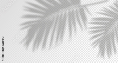 Glare from the sun's rays on the wall. Blurred shadows from leaves and plants in the room. Soft overlay of natural light. Abstract background for product presentation.Natural light layout.