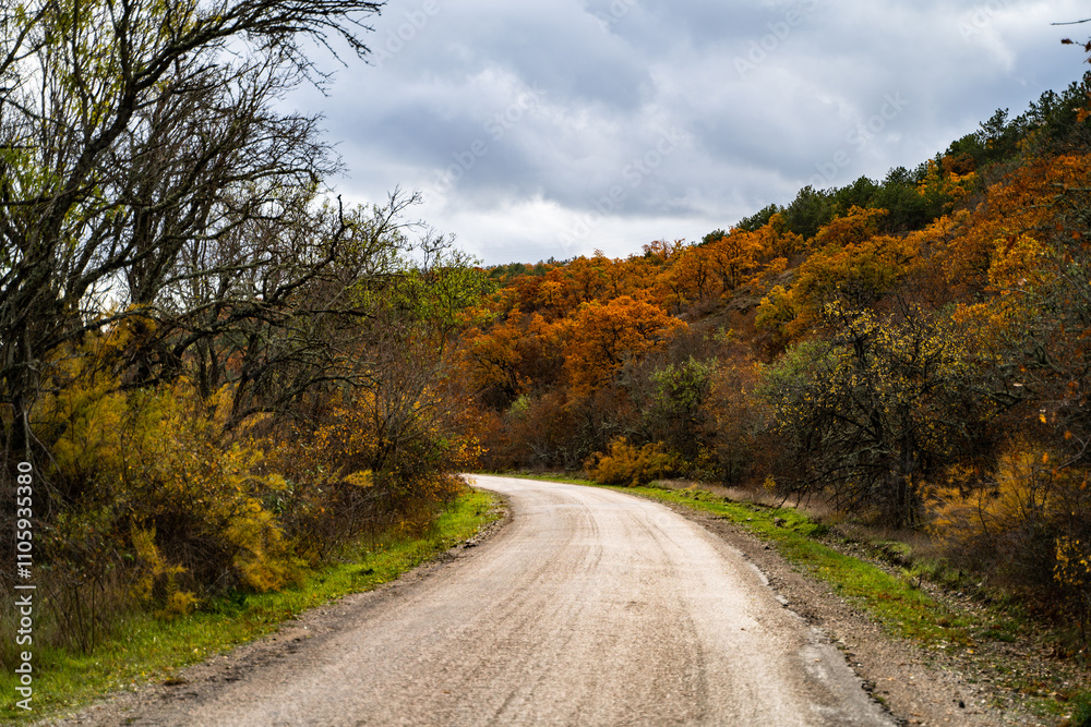 Countryside road on a cloudy autumn day. Beautiful roadway, orange, red and yellow trees, blue sky with clouds. Landscape with country road in fall. Empty asphalt road. Colorful forest. Countryside road on a cloudy autumn day. Beautiful roadway, orange, red and yellow trees, blue sky with clouds. Landscape with country road in fall. Empty asphalt road. Colorful forest.