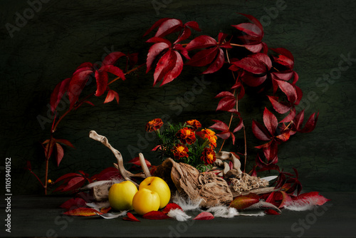 Autumn nostalgia. colorful autumn leaves, wild grapes, driftwood, apples, autumn flowers, asters.