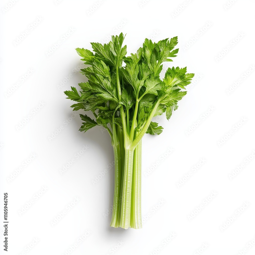 Crisp and Fresh Celery Stalks in Minimalist Still Life Photography Crisp and Fresh Celery Stalks in Minimalist Still Life Photography