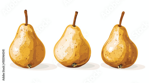 Set of pear fruit watercolor isolated clipart pears on white background. Vector fruits illustration