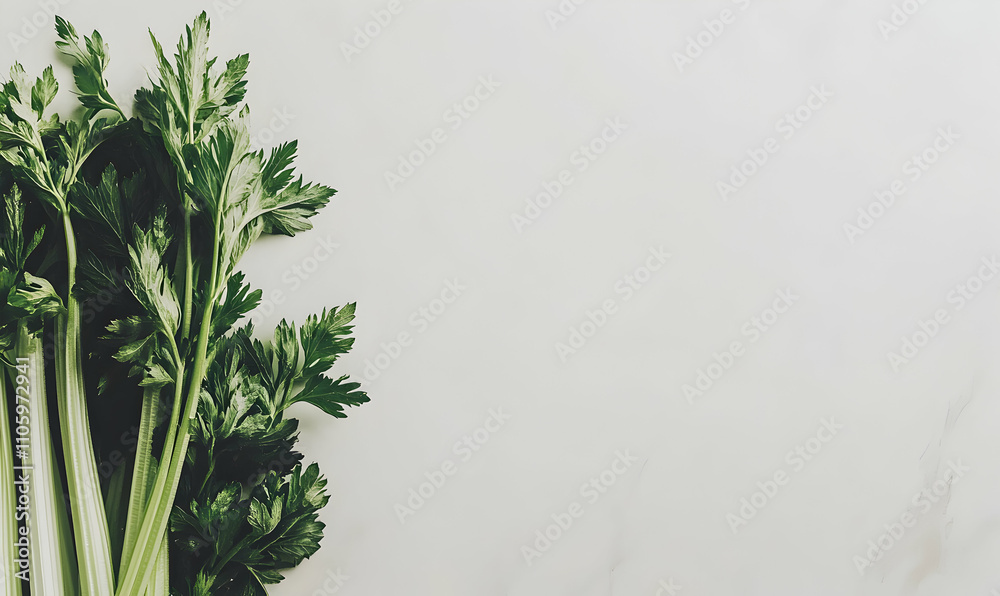 Fresh celery stalks with vibrant green leaves arranged on a light gray background, leaving ample copy space. Ideal for culinary, health, or recipe-related designs. Fresh celery stalks with vibrant green leaves arranged on a light gray background, leaving ample copy space. Ideal for culinary, health, or recipe-related designs.