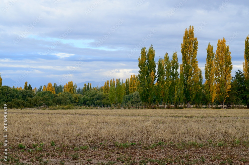 Paisaje de Otoño Paisaje de Otoño