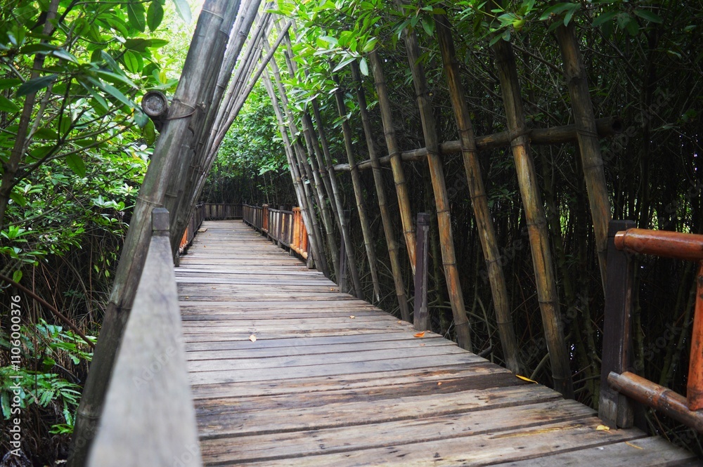 Obraz premium wooden deck as a path through the mangrove forest