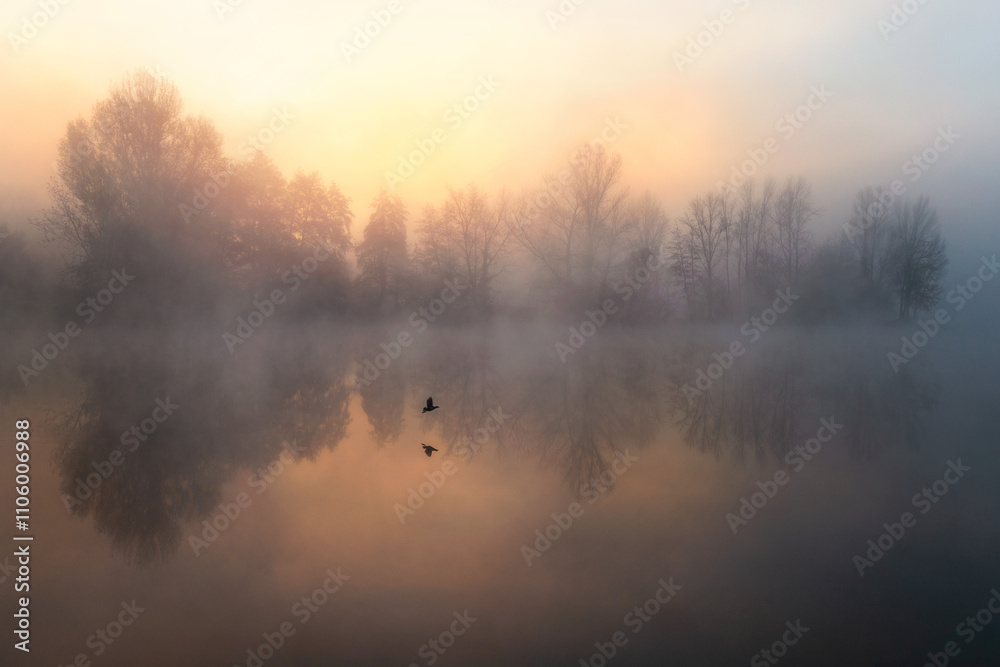 Fototapeta premium brouillard en Gironde