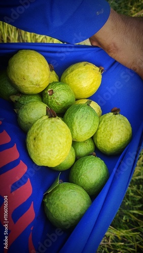 melons in a market