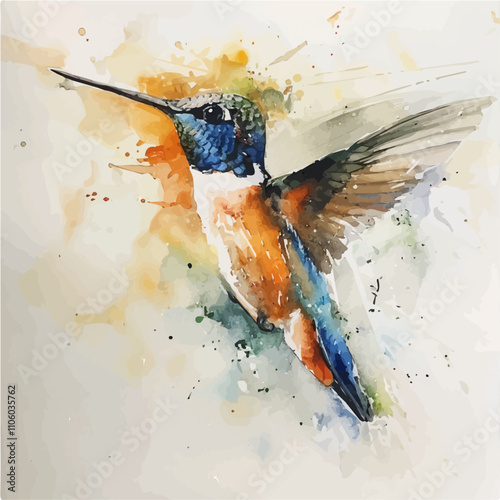 A watercolor vector of Hummingbird, isolated on a white background. Hummingbird vector.