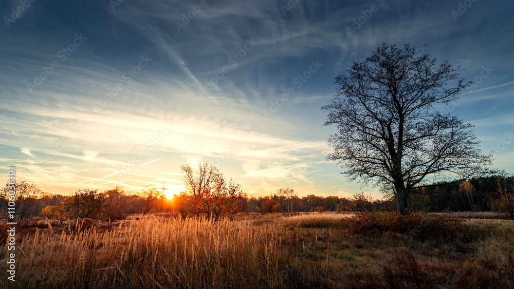 Fototapeta premium Autumn sunny morning with fog in the forest.