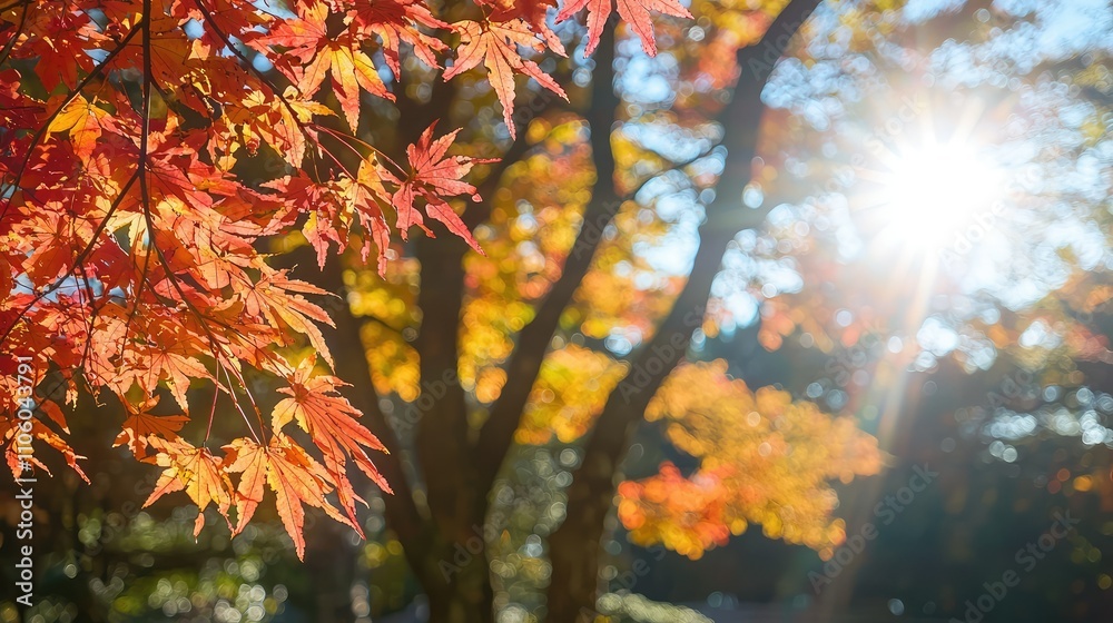 Vibrant Autumn Forest with Bright Red and Orange Leaves Illuminated by Sunlight in a Colorful Natural Landscape Vibrant Autumn Forest with Bright Red and Orange Leaves Illuminated by Sunlight in a Colorful Natural Landscape