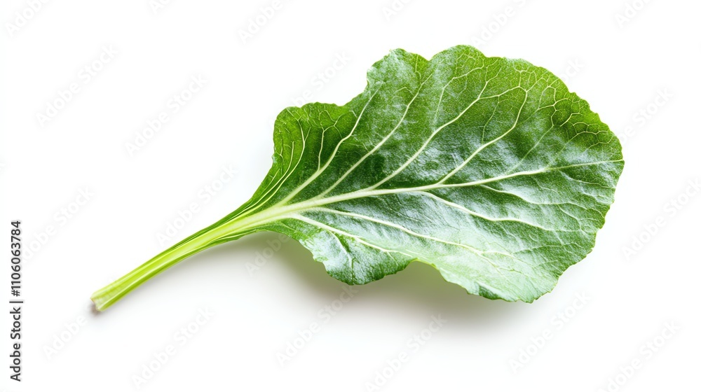 Fresh green collard leaf on white isolated background. Fresh green collard leaf on white isolated background.