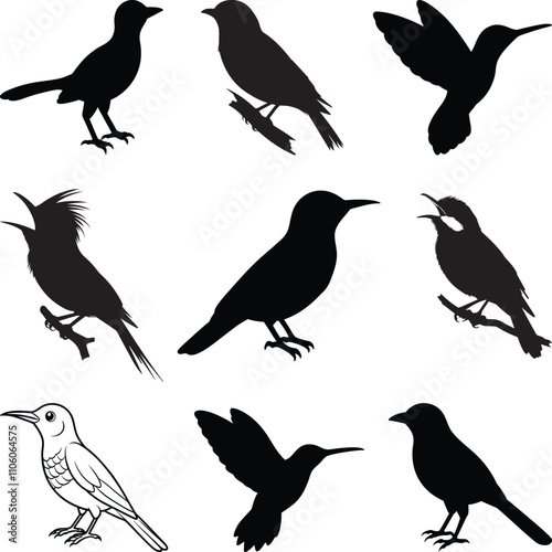 Rufous Hornero Bird silhouette vector illustration. photo